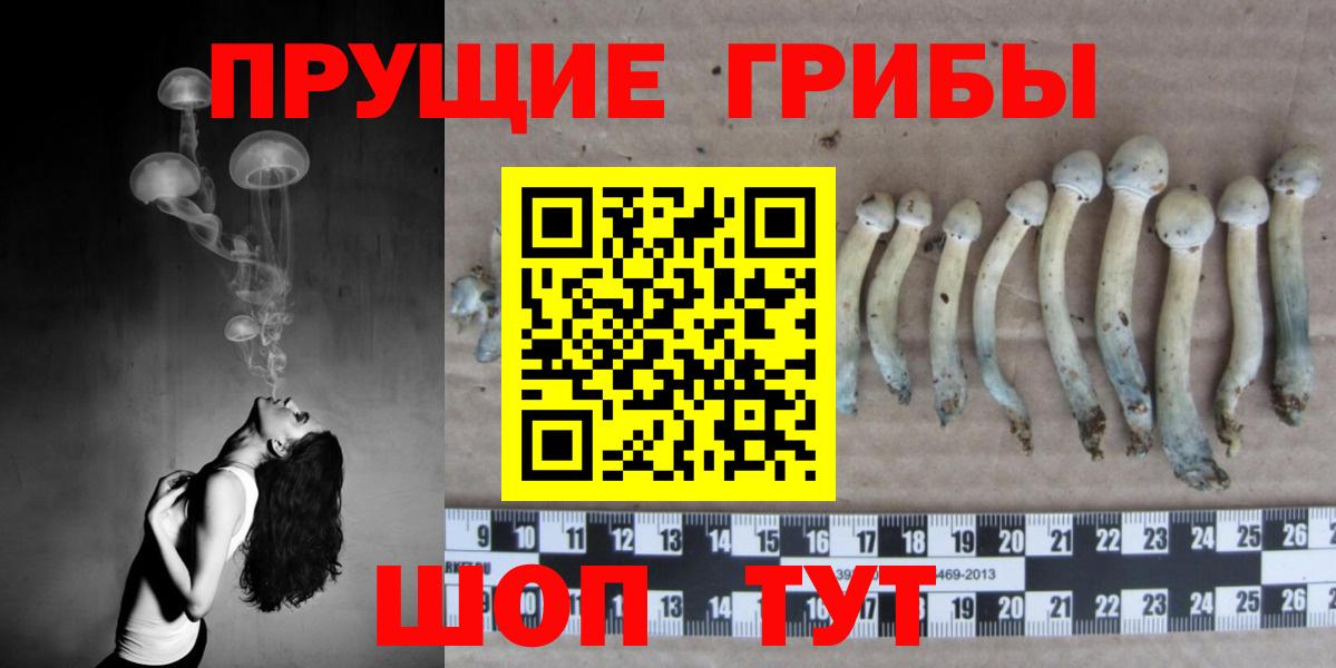 Галлюциногенные грибы мухоморы  Вход с VPN  Ефремов 